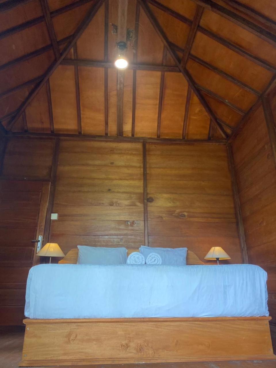 Uma D'Nyuh Homestay 新加拉惹 外观 照片