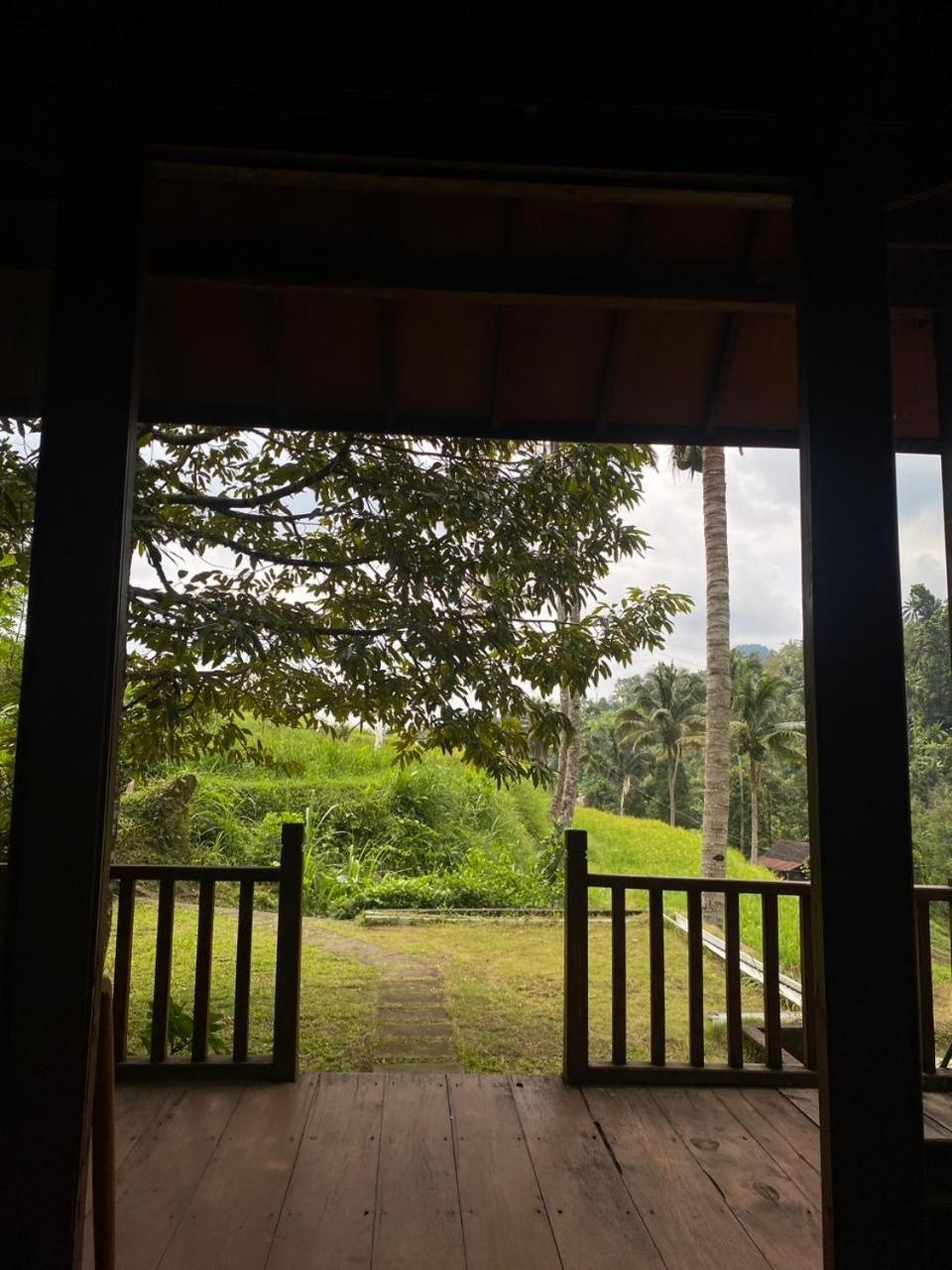 Uma D'Nyuh Homestay 新加拉惹 外观 照片