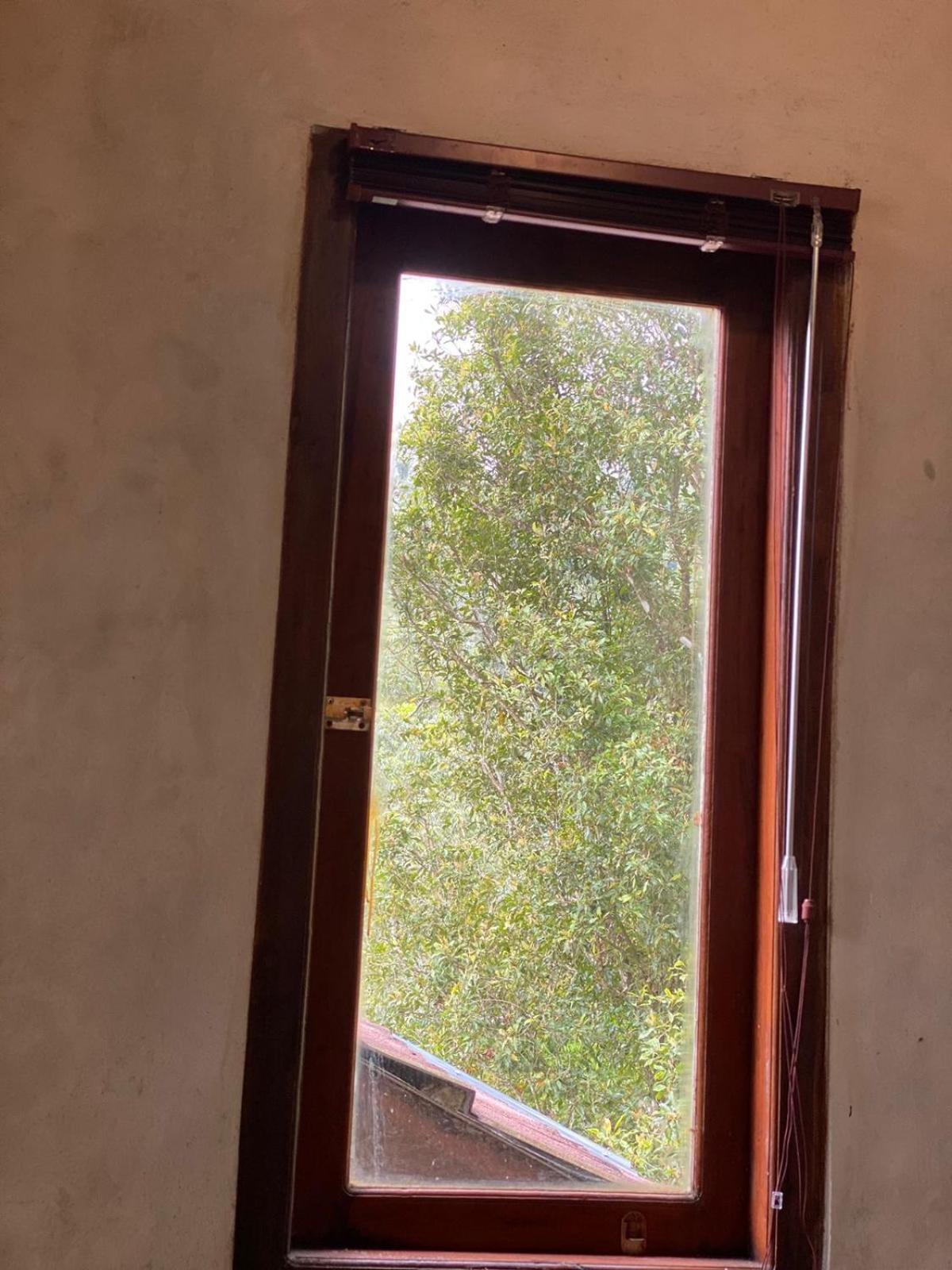 Uma D'Nyuh Homestay 新加拉惹 外观 照片