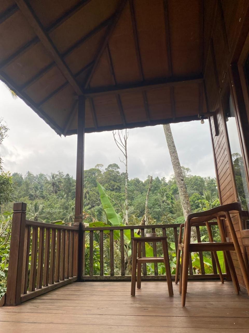 Uma D'Nyuh Homestay 新加拉惹 外观 照片