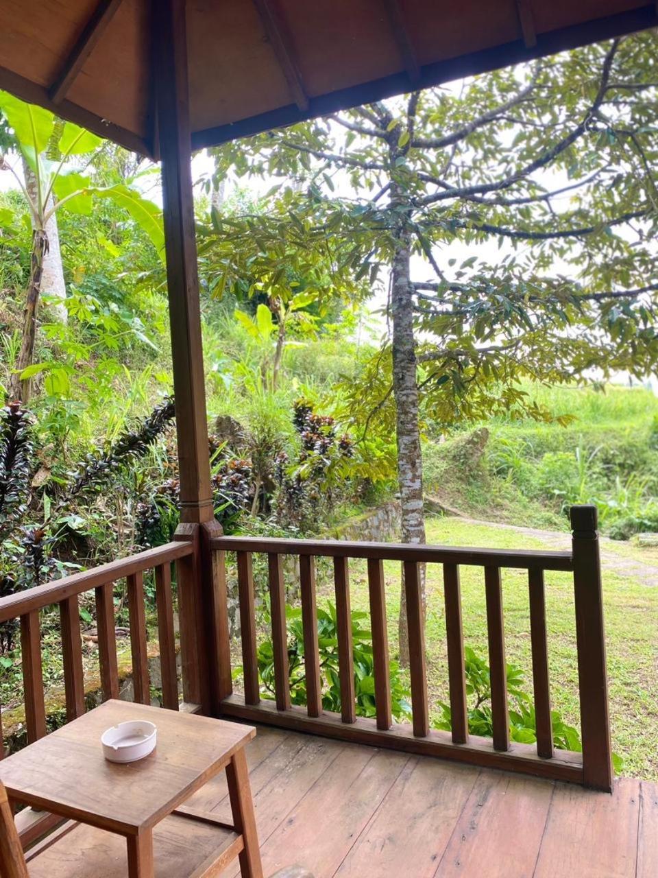Uma D'Nyuh Homestay 新加拉惹 外观 照片