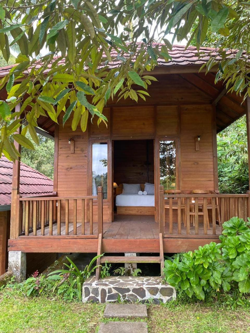 Uma D'Nyuh Homestay 新加拉惹 外观 照片