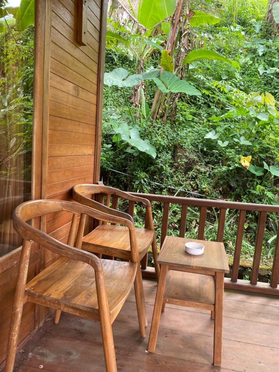 Uma D'Nyuh Homestay 新加拉惹 外观 照片