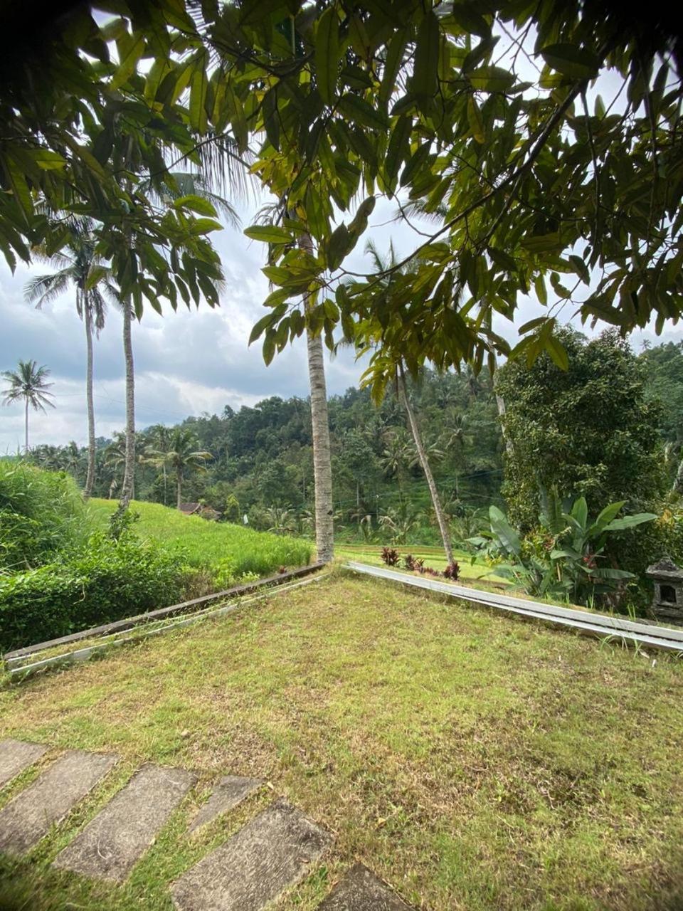 Uma D'Nyuh Homestay 新加拉惹 外观 照片