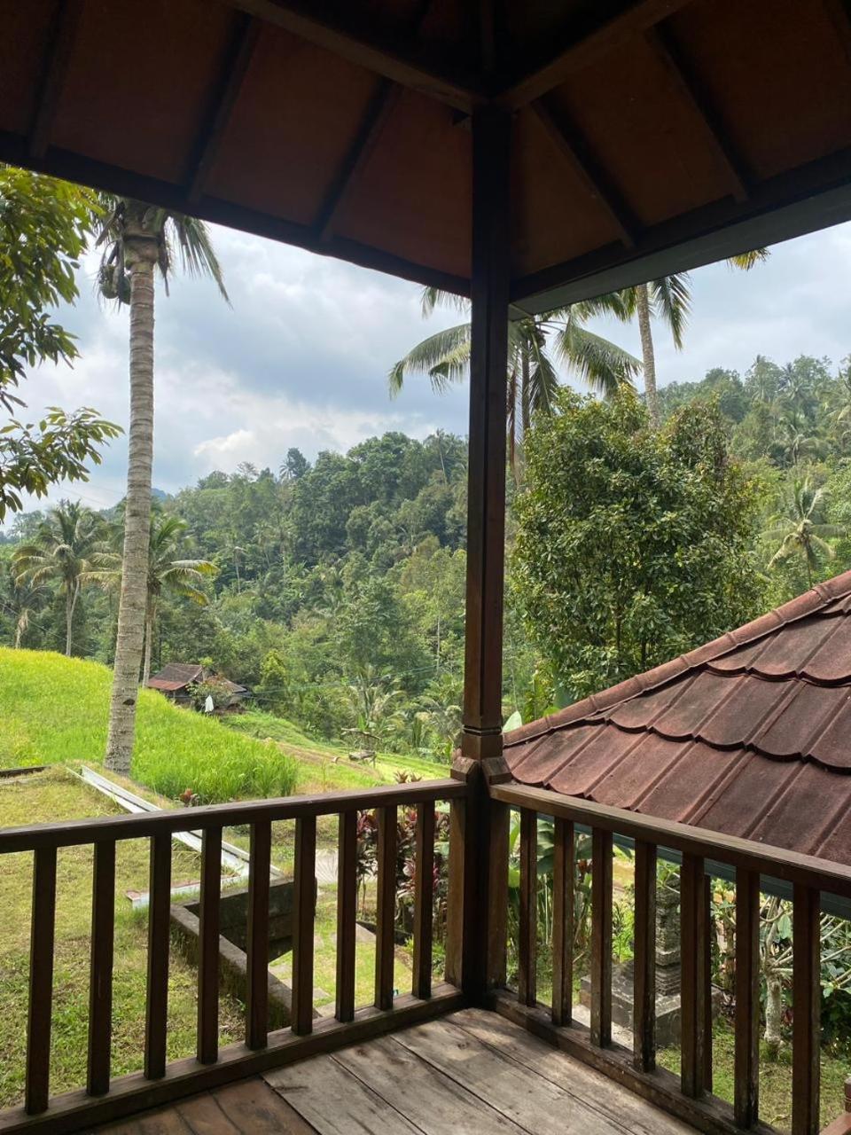 Uma D'Nyuh Homestay 新加拉惹 外观 照片