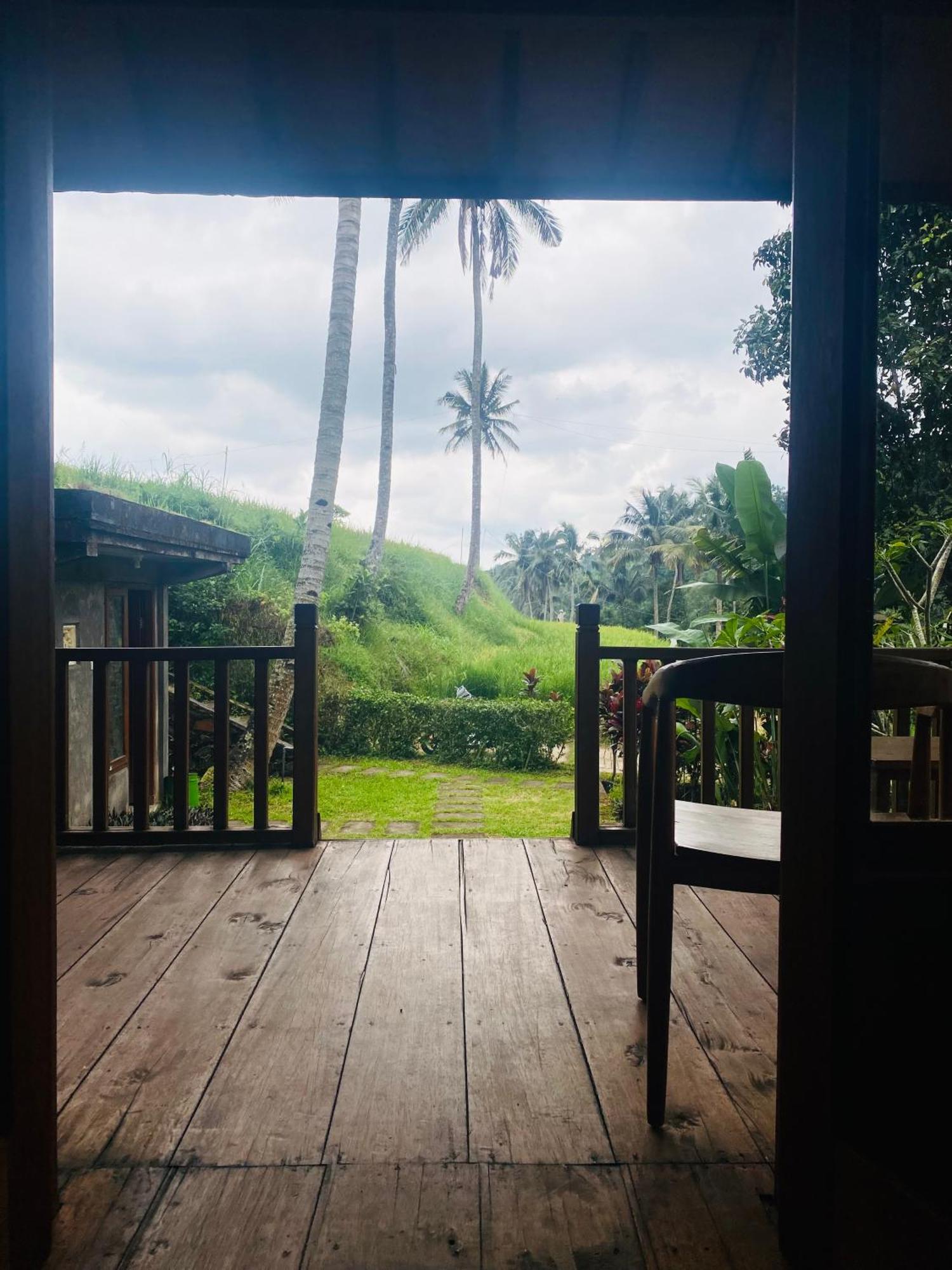 Uma D'Nyuh Homestay 新加拉惹 外观 照片