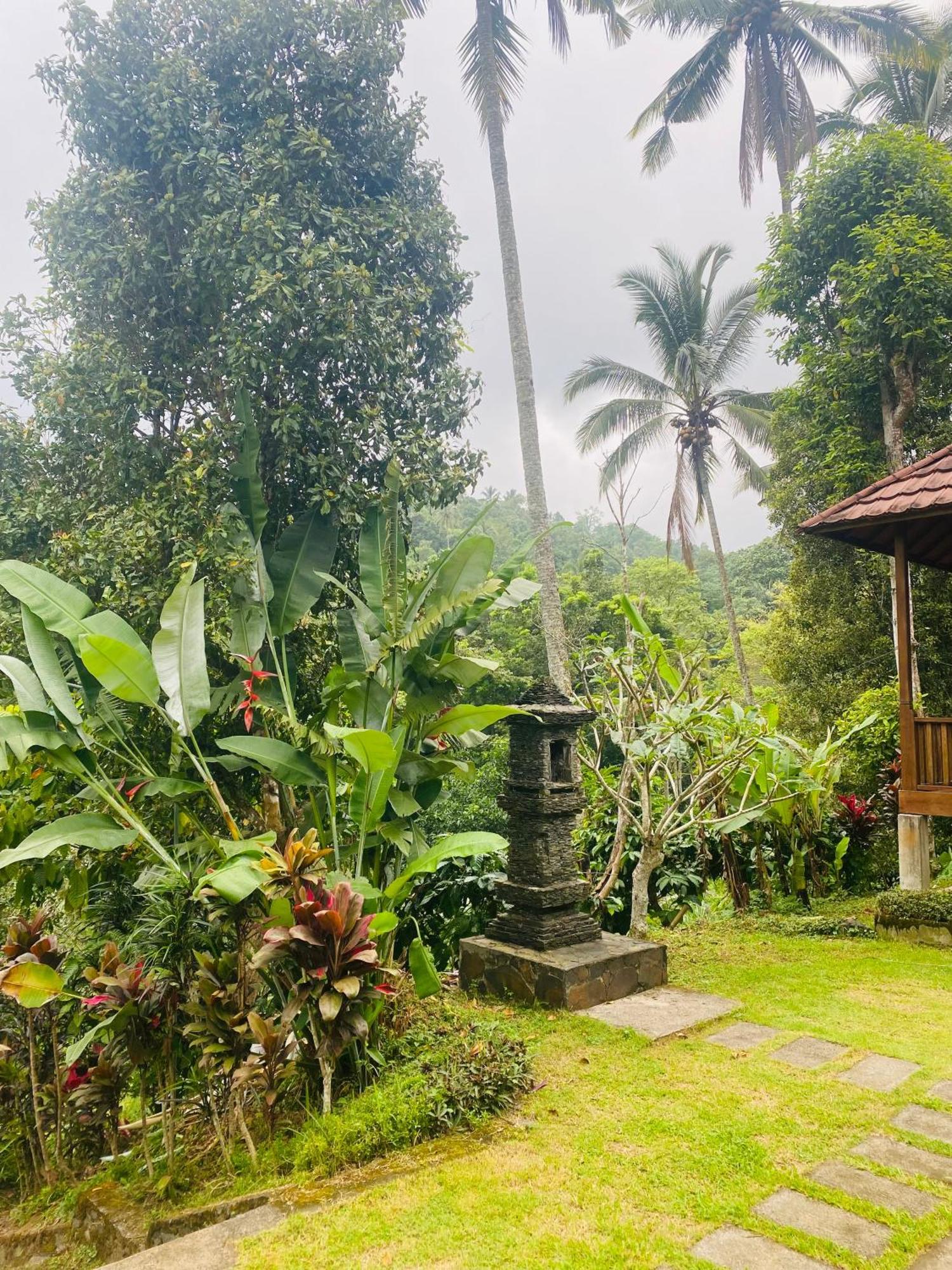 Uma D'Nyuh Homestay 新加拉惹 外观 照片